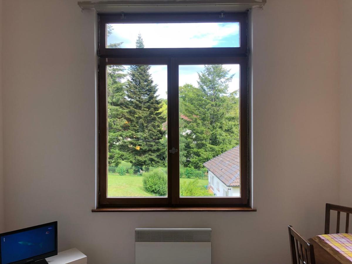 Loft Mon Soleil Apartman Le Hohwald Kültér fotó